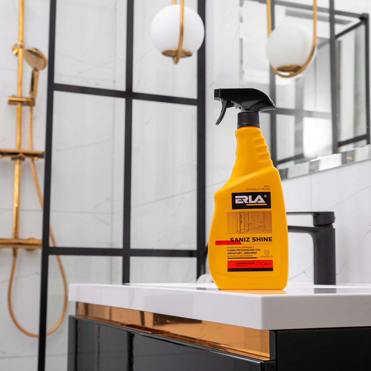 ERLA SANIZ SHINE 750ml