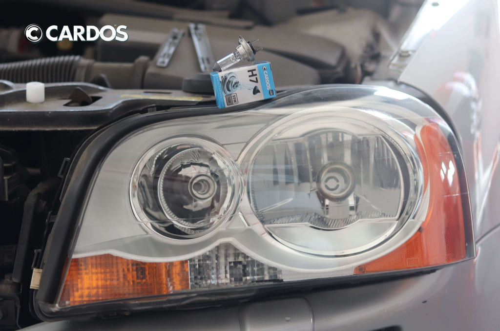 CARDOS HALOGEN H7 12V