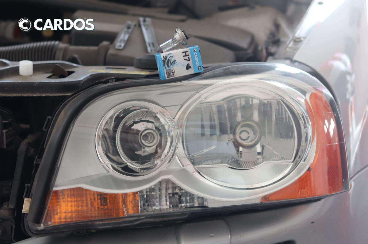 CARDOS HALOGEN H7 12V