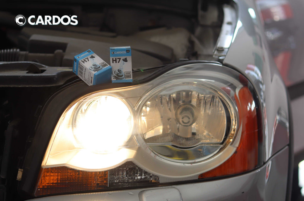 CARDOS HALOGEN H7 12V
