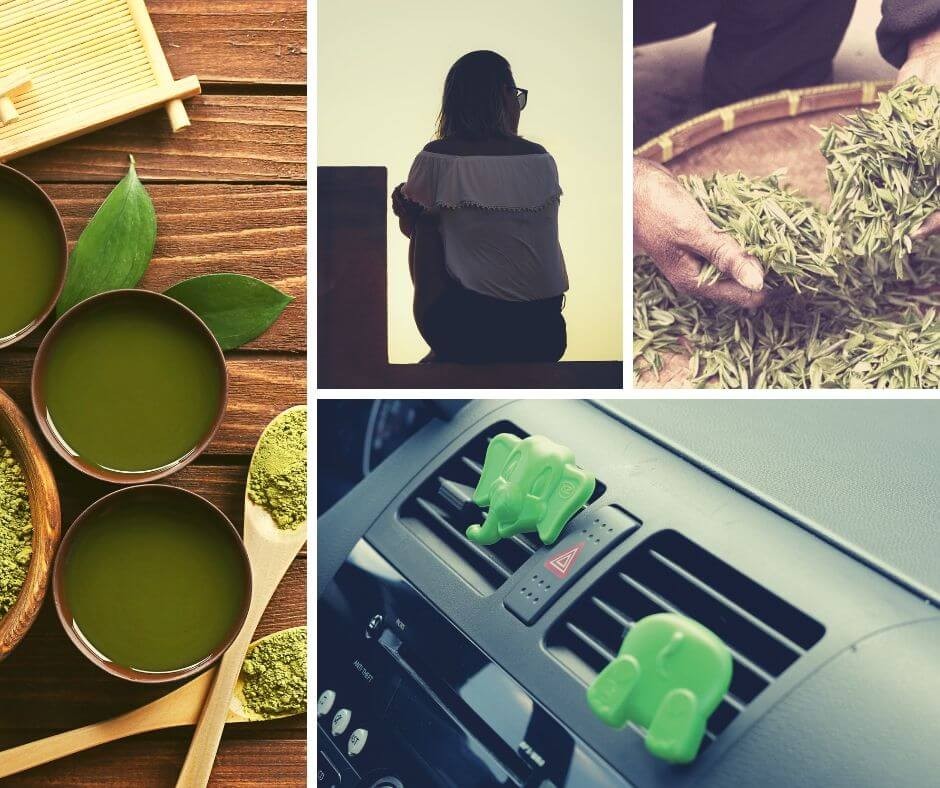 K2 ARLO GREEN TEA